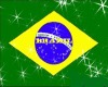 sticker brazil II