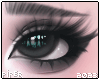 P| Add+ Lashes - L/B