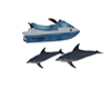 jet ski/ dolphins