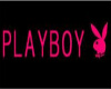 *PlayBoy* (sm)