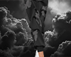 DNM TRS Black Pants