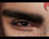 Life brows