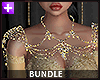 Bundle - Golden Lady