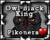 !Pk Pet Owl Black King