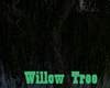 Wilow Tree