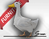 ð¦ Real Duck Furni
