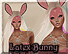 ¢| Latex Bunny Bundle P