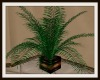 [LWR]Decor Plant