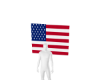 U.S.A  Flag