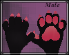 ♥ Nat Hand Paws M