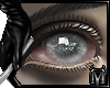 Mirrorball | Eyes