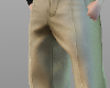 âBrown Formal Pants