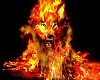 Flaming Wolf Club