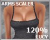 LC ARM SCALER 120%