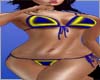Hot Bikini 2016