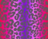 C. BP Cheetah2!