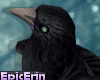 [E]*Maleficent's Crow*