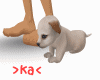 .ka.1 Cute Puppy