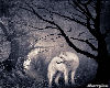 White Wolf Forest