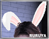 [R] Bunny Ears