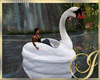 Waterfall~Swan Boat