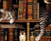 I~Kitty Bookshelf 2