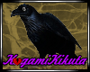 :KK: Raven Perched