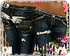 [Oraz-Denim|Drk}HP