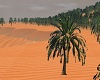 Liwa