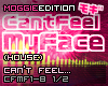 CantFeelMyFace|House