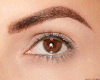 Lashes