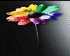 COLORFUL FLOWER..