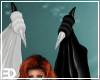 Black White Wings