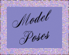 Di* Model Poses