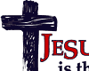 Jesus is the standard