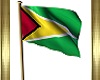 ANIMATED GUYANA FLAG