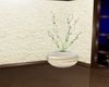 ( c ) Decorative Vase TC