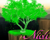 [N]*G*Tree Natural