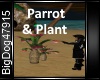 [BD]Parrot&Plant