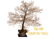 DW ANI COUNTRY TREE