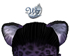 Purple Leopard Ears