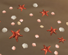 Starfishes nd Seashells