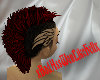 Hawk Black-Darkred