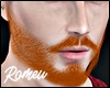 Beard Realistic Ginger