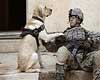 Dog - With Soldier