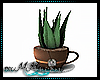 Teacup Planter