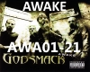 GODSMACK - AWAKE