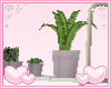 pink plants stand