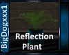 [BD]Reflection Plant