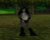 Raccoon Fur F V1